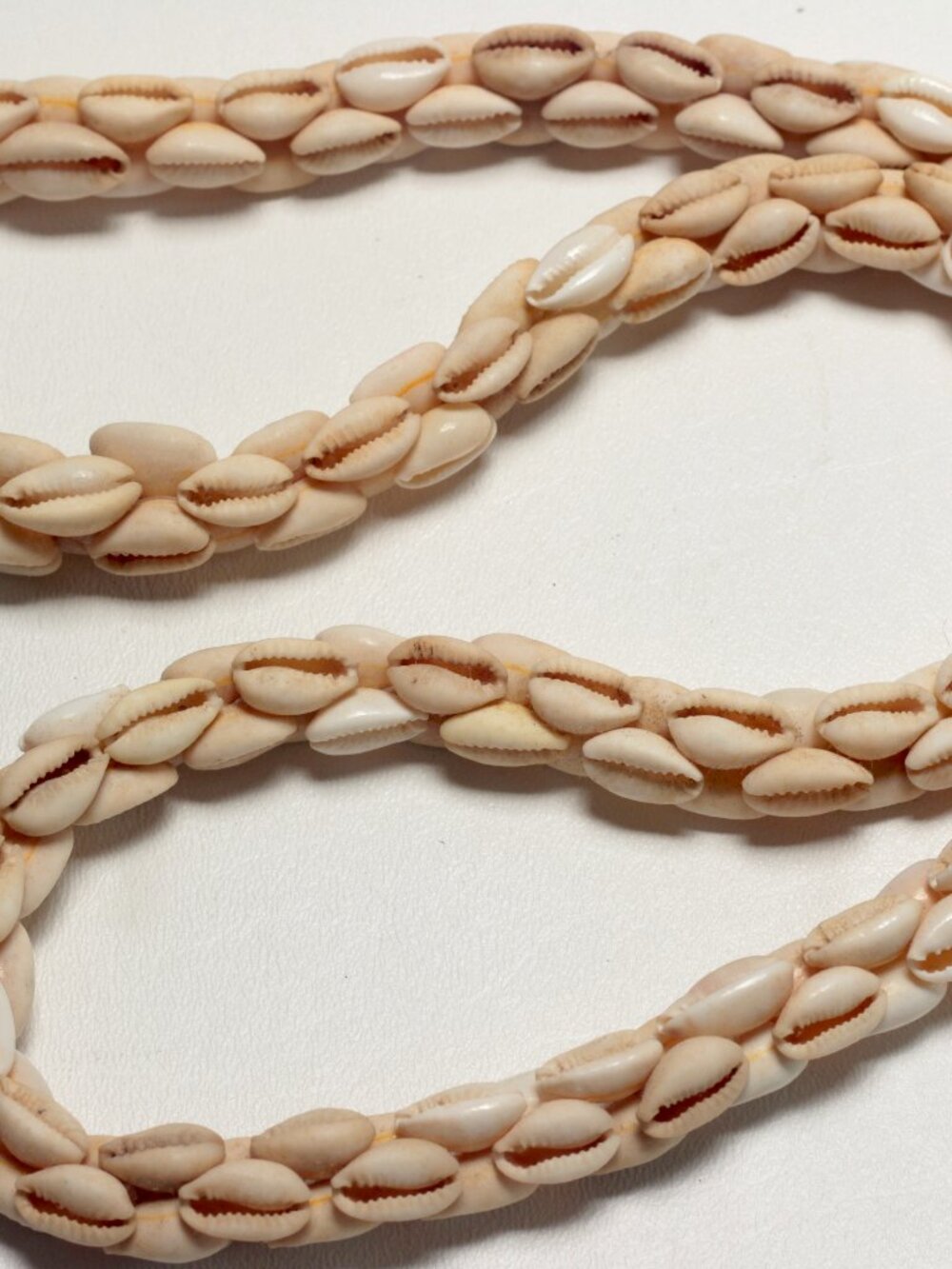 Cowrie Sea Shell Strand Necklace